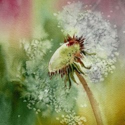 Class | Adult Paint & Sip | Expired Wishes