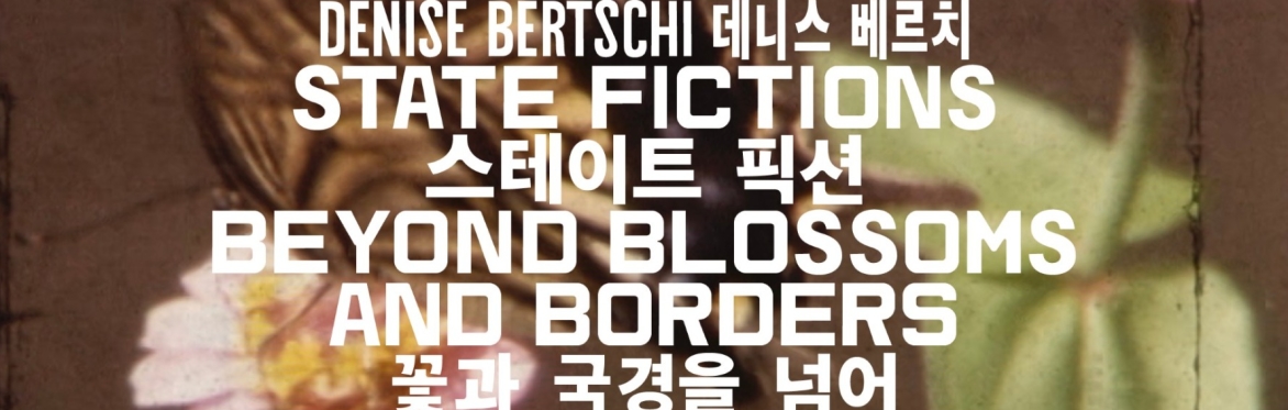 Talk at the Library: State Fictions Between Switzerland and Korea