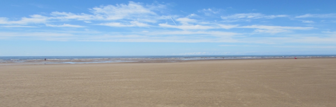 Wyre Big Estuary Clean