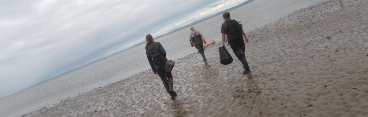 Wyre Big Estuary Clean