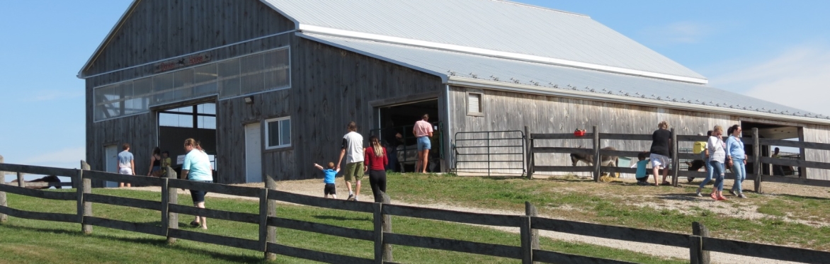 2026 Sunday Open Days