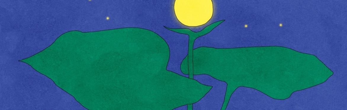 The Elements of Mutual Aid, Chapter 2: Earth