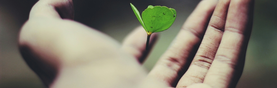 Building a Healthy Church Culture