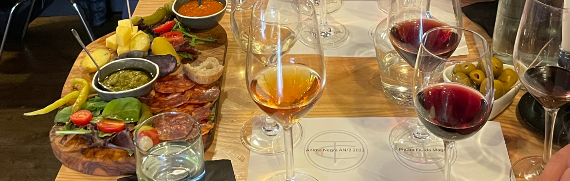 New to Vino - tasting & masterclass