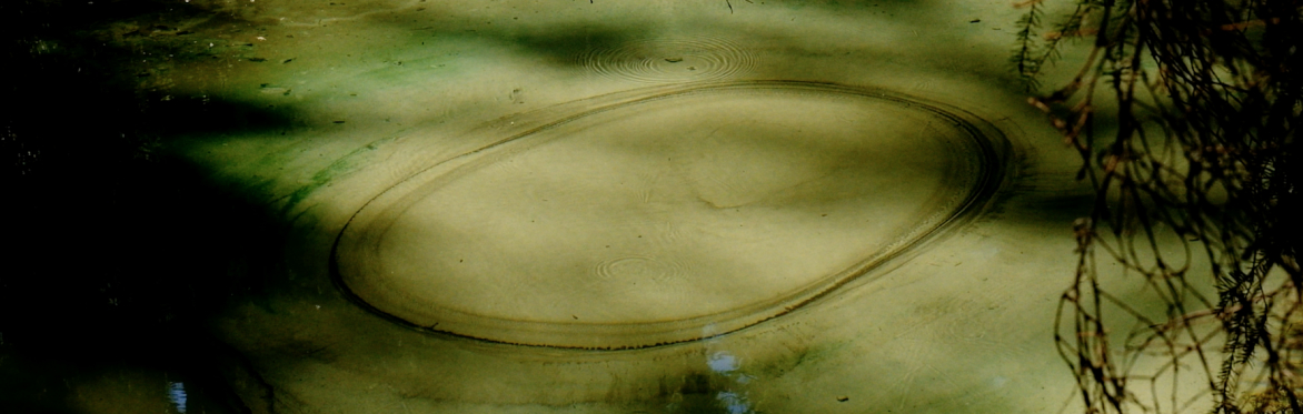 Sensing Earth: A Meditation in Clay & Sound Bath with Arran Gregory & Joe Dalziel