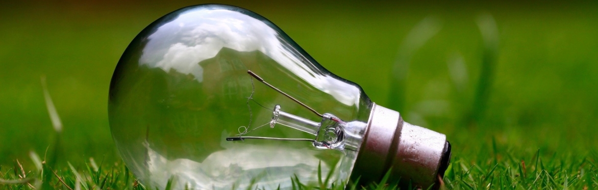 Free Energy Training