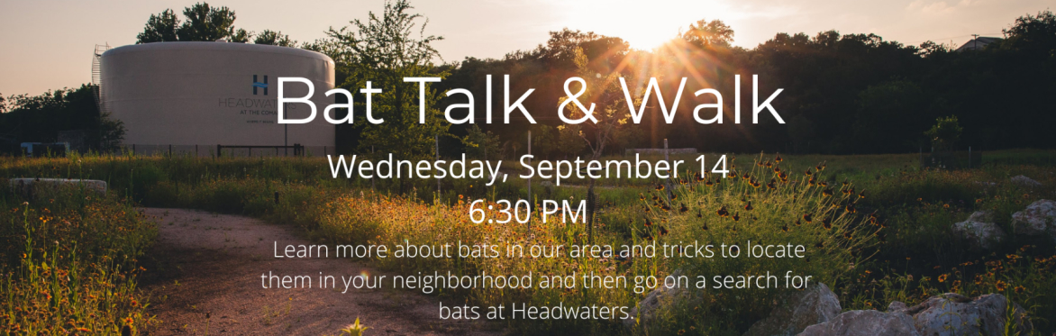 Bat Talk & Walk