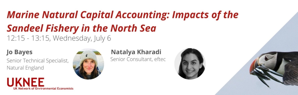 Marine Natural Capital Accounting: Impacts of the Sandeel Fishery in the North Sea