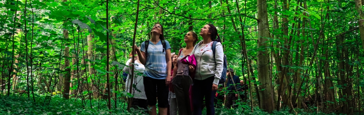 World Mental Health Day - Forest Bathing with Brighton Yoga