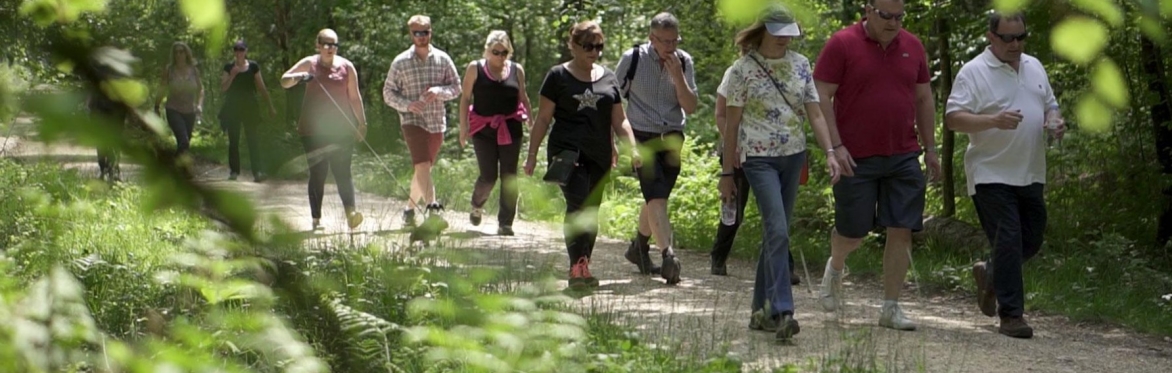 NETWALKING - Walking, Networking & Mindfulness in Nature  🌿  🌿