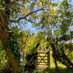 Under the Oaks: A Mother–Daughter Afternoon to Connect, Play & Care for Ourselves