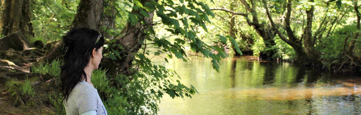Mindfulness workshop