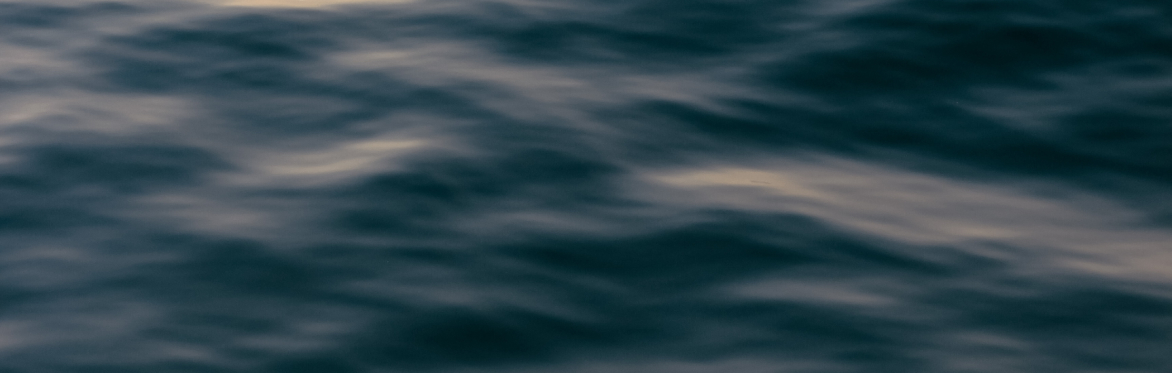 Queer Me and the Sea