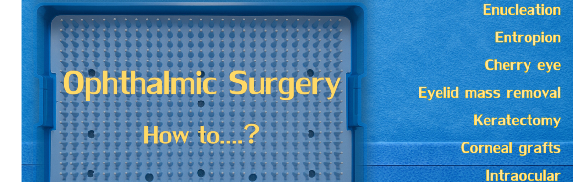 BrAVO Winter Conference 2026 - Ophthalmic surgery; How To...?