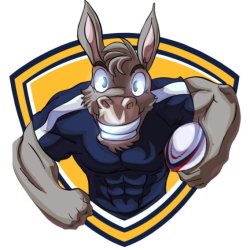 Weston Beach Rugby & Netball Fest 2026