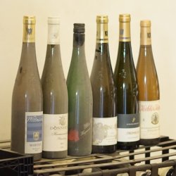 15.10. Abendprobe: Top-Rieslinge - 10 Jahre und älter