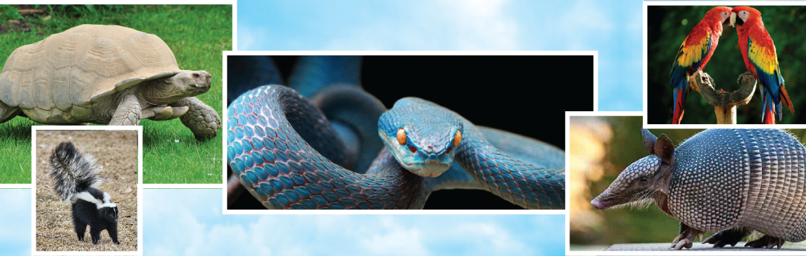 LETHBRIDGE Wildlife Festival