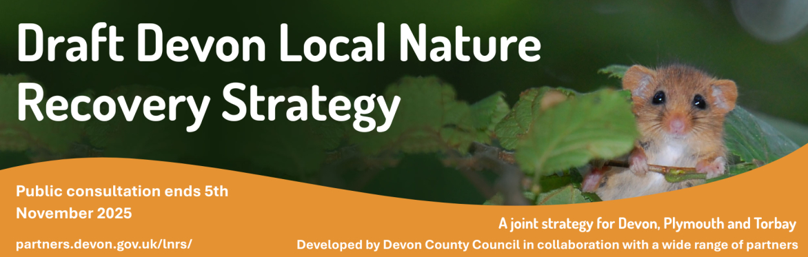 Draft Devon Local Nature Recovery Strategy public consultation webinars