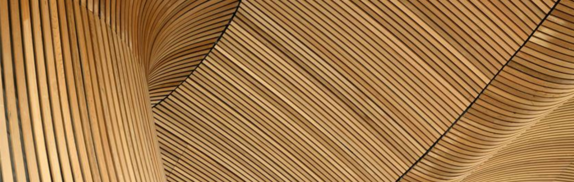 Gweminar YGC: Rhoi Llais i'ch Ymchwil yn y Senedd | ECR Webinar: Giving your Research a Voice in the Senedd