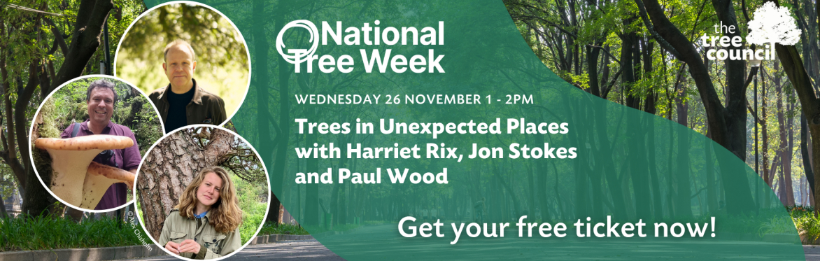 Trees in Unexpected Places with Harriet Rix, Jon Stokes and Paul Wood