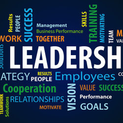 The Evolution of the Development Leader