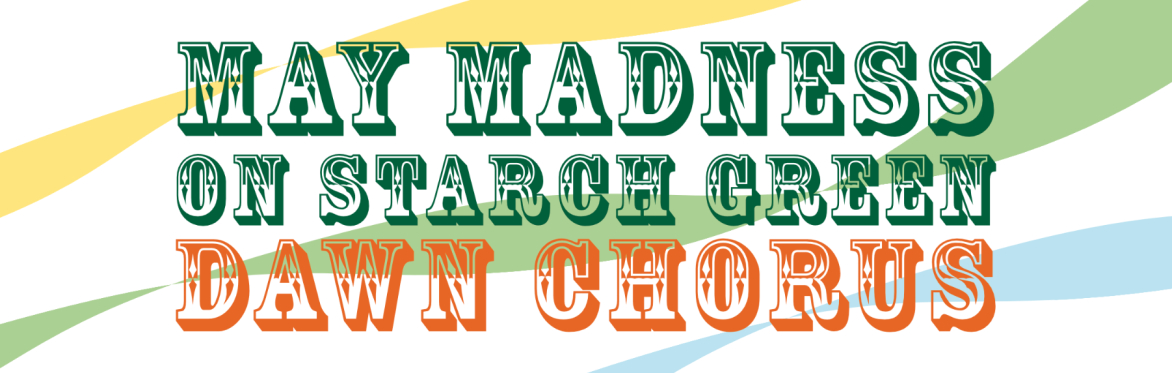 May Madness on Starch Green Dawn Chorus