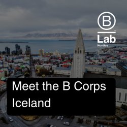 B Corp Networking Event in Iceland | Reykjavik