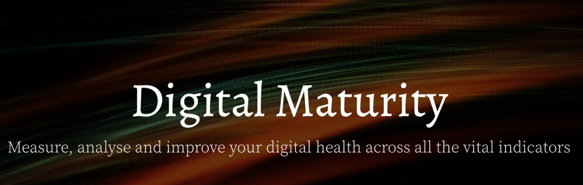 Header reads: Digital Maturity - Measure, Analyse and improve your digital health across all the vital indicators