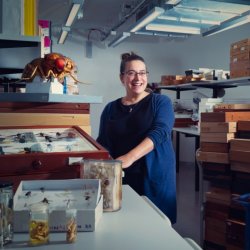 METAMORPHOSIS - How flies are changing our planet - An evening with DR ERICA MCALISTER