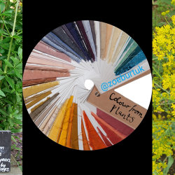Explore Natural Dyeing with Colours from a Living Garden