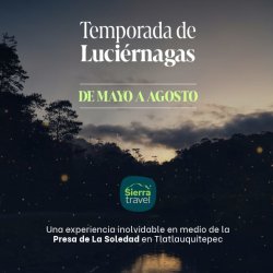 Avistamiento Luciérnagas en Tlatlauquitepec. Temporada 2026