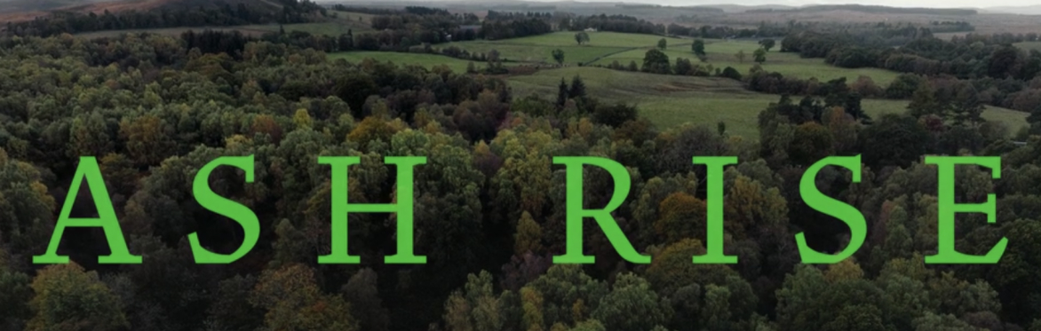 Ash Rise : film screening