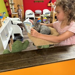 Camp PURRS Jr.