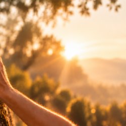 Movement Medicine Ceremony: ANCESTORS