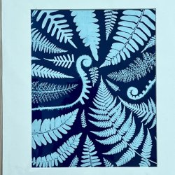☀️ World Cyanotype Day: A Sun Powered Workshop with Sarah Jones Decker