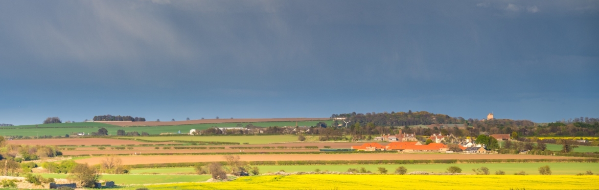 Farming practices and sustainability in Scotland