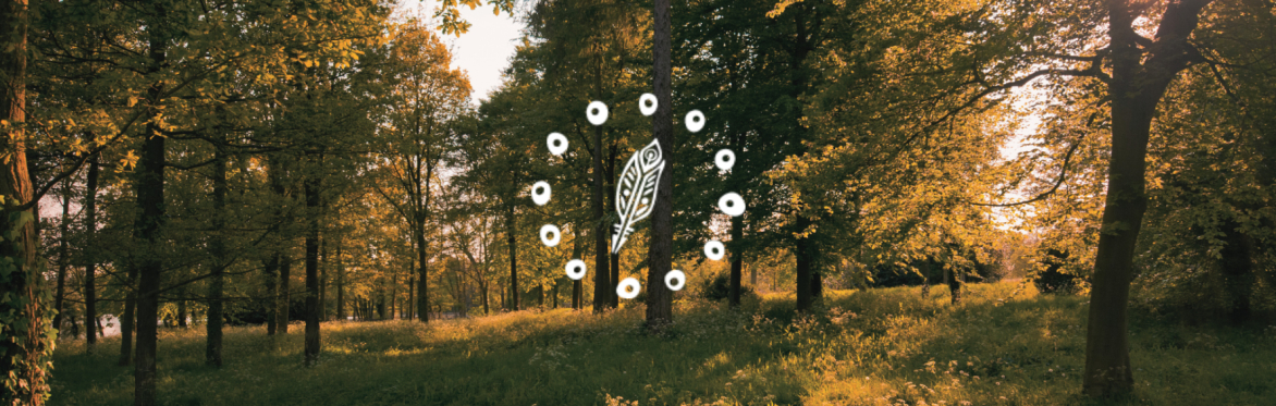 Introduction to Drum Journeying