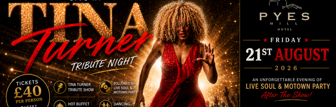 Tina Turner Tribute Night