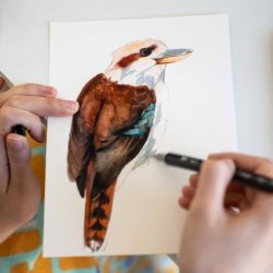 Nature Journaling for Birdwatchers 2 (Summer Series)