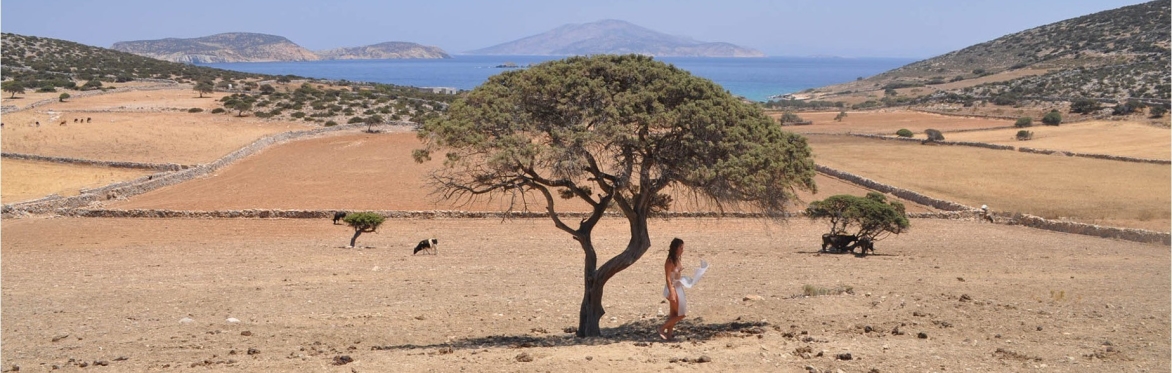 A woman stands under a tree reading poetry with the sea in the background