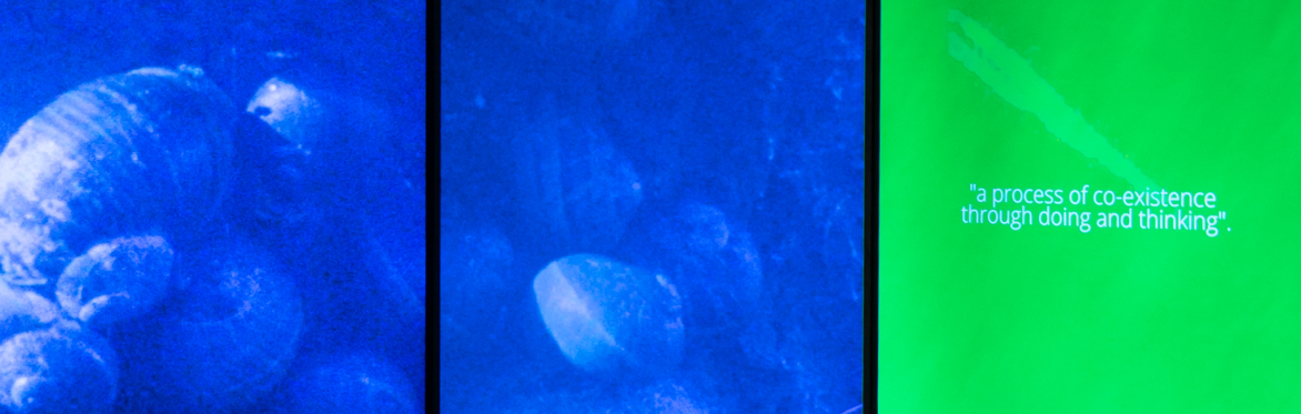 We Stood, Peering into the Rippling Water: 8mm film making and sustainable processing workshop with Gregory Herbert