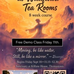Tai Chi at Wildflower Tea Rooms