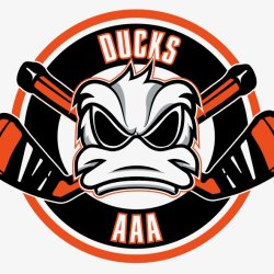 8U Ducks AAA - 2027 Player Registration