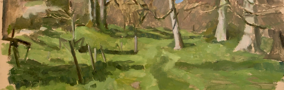 Adult Art Class: Plein Air Landscape Painting with Sinead Lucey
