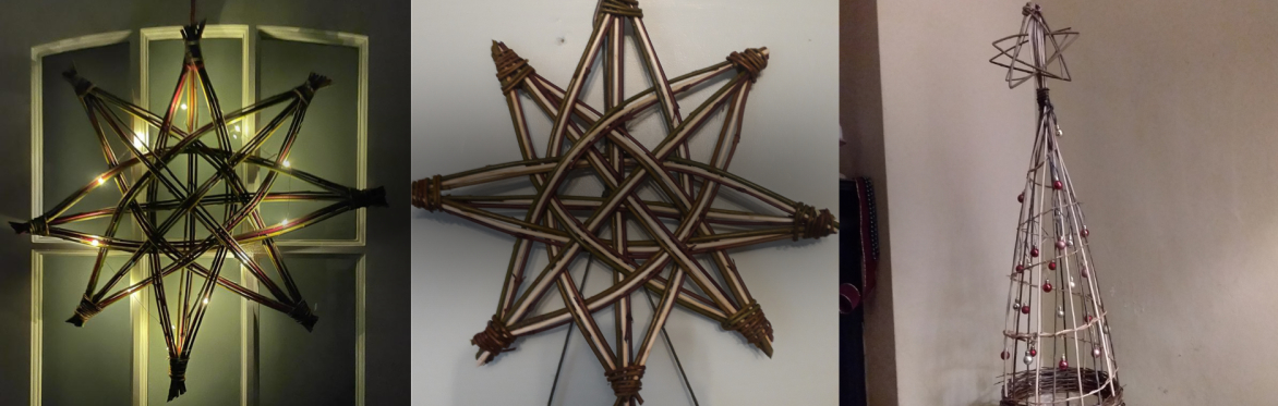 Willow star and tree