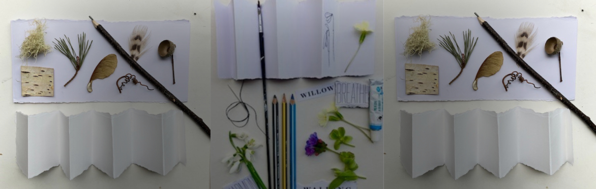 Nature Journal