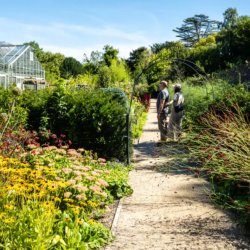 Ageing Well Festival: Garden Tour & Tea & Cake