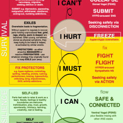 EXPLORING The Survive/Thrive Spiral