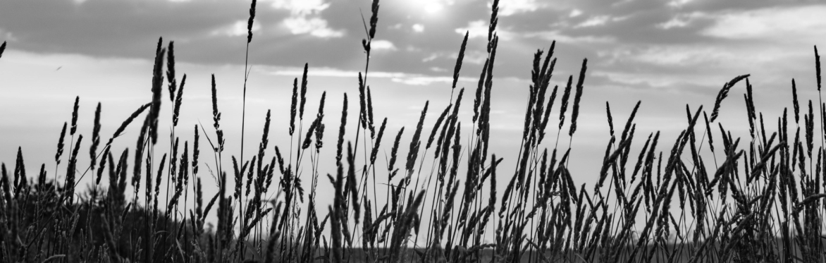 Heritage Open Days - Preesall Saltmines