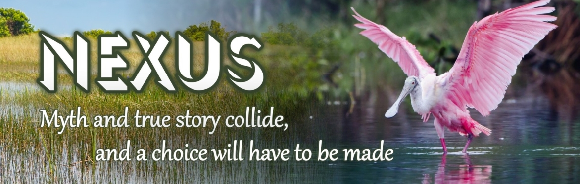 NEXUS - A story of hope in our troubled times (Performance and Q&A)